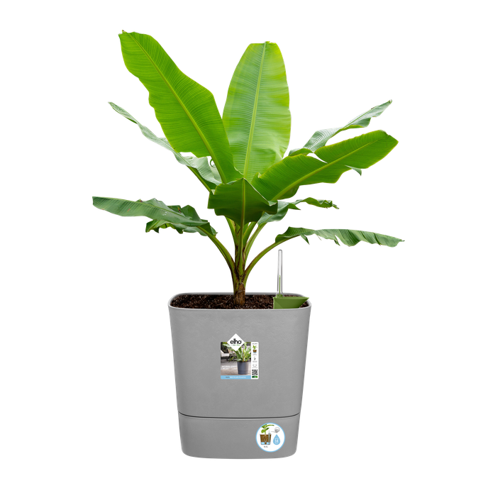 greensense aqua care carré 38cm ciment clair